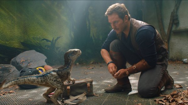 Jurassic World: Fallen Kingdom Movie Photo 486472