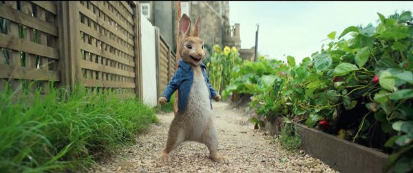 Peter Rabbit Movie Photo 486557