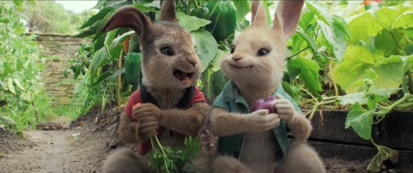 Peter Rabbit Movie Photo 486558