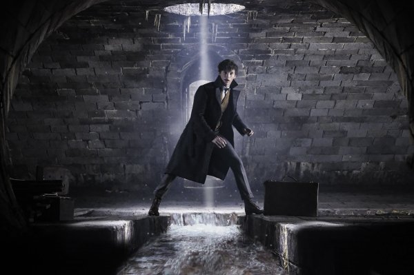 Fantastic Beasts: The Crimes of Grindelwald Movie Photo 486994