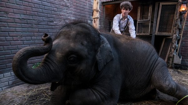 Zoo Movie Photo 488692