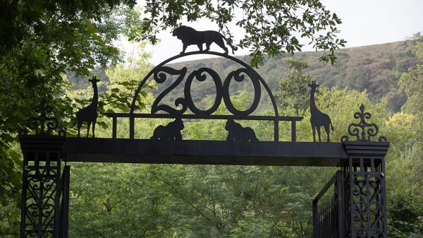 Zoo Movie Photo 488694