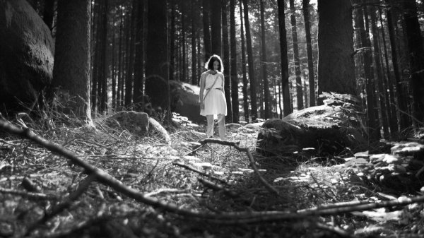 The Forest of the Lost Souls Movie Photo 491898