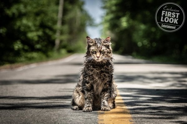 Pet Sematary Movie Photo 495408