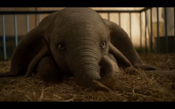 Dumbo Movie Photo 498324