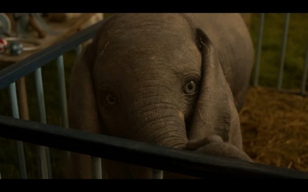 Dumbo Movie Photo 498325