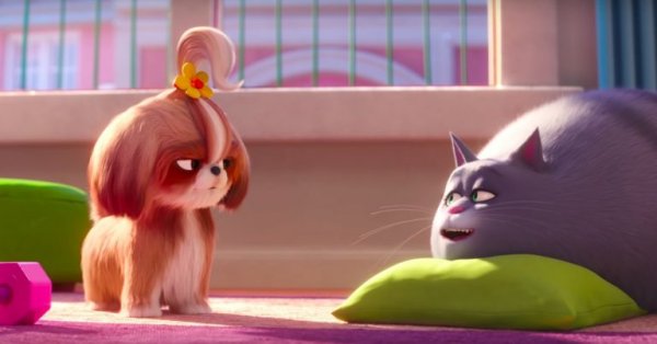 The Secret Life of Pets 2 Movie Photo 498360