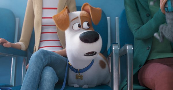 The Secret Life of Pets 2 Movie Photo 498362