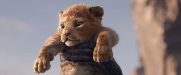 The Lion King Movie Photo 499084