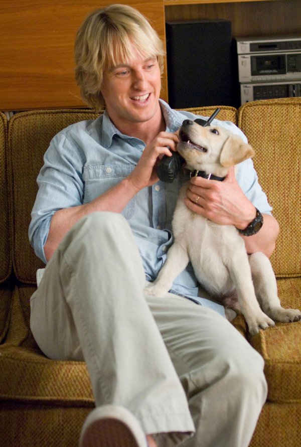 Owen Wilson Movie Photo 5019