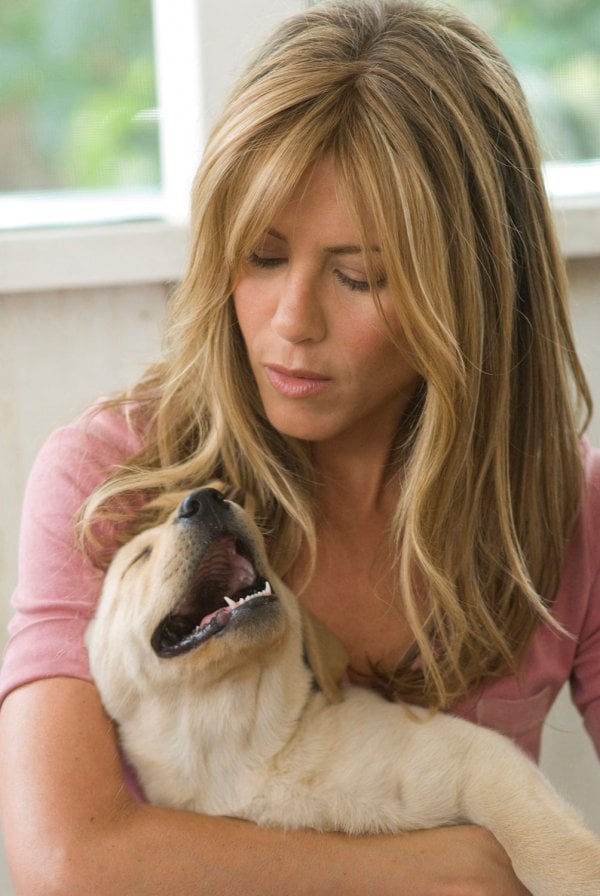 Marley & Me Movie Photo 5022