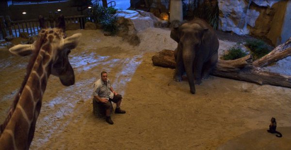 Zookeeper Movie Photo 50375