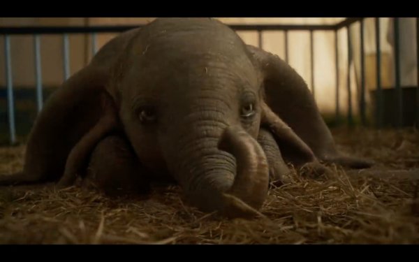 Dumbo Movie Photo 506324