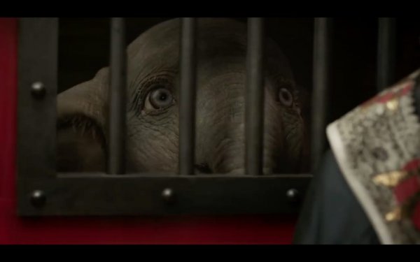 Dumbo Movie Photo 506325