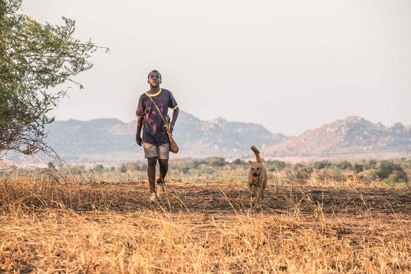 The Boy Who Harnessed The Wind Movie Photo 509050