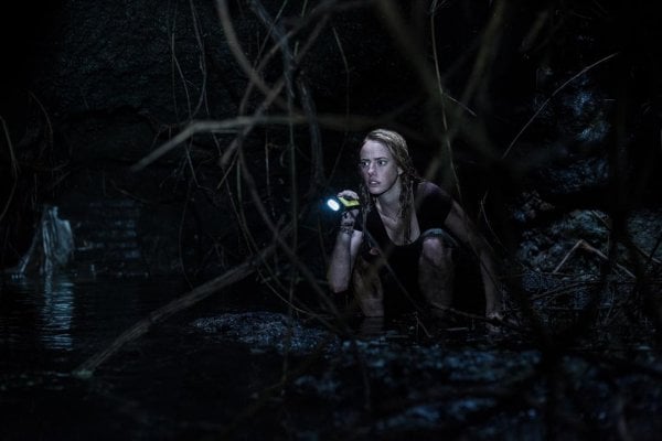 Crawl Movie Photo 516637