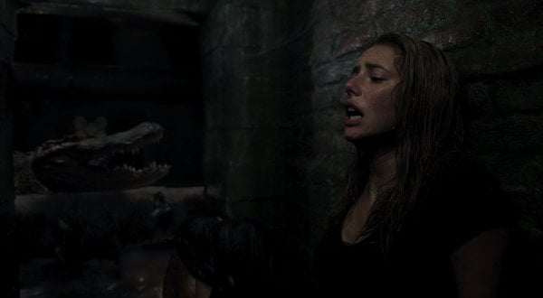 Crawl Movie Photo 526073