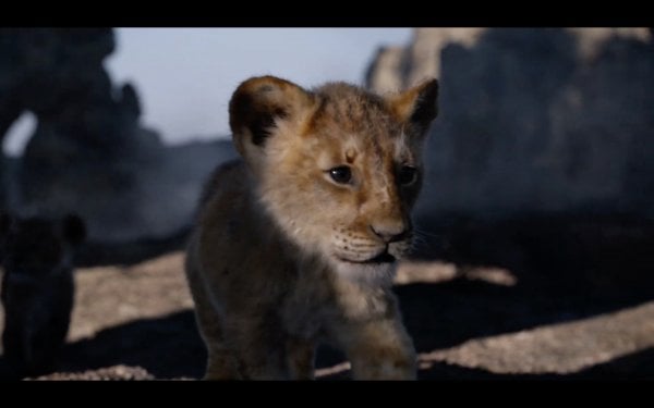 The Lion King Movie Photo 526276