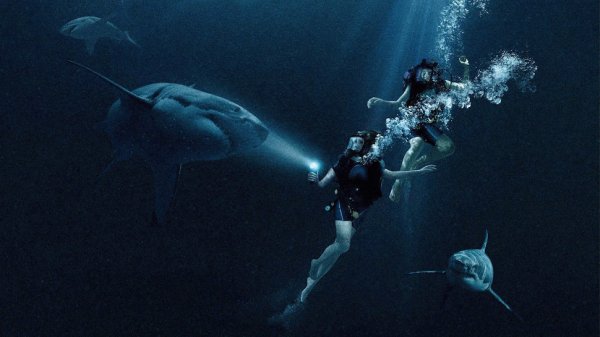 47 Meters Down: Uncaged Movie Photo 526768