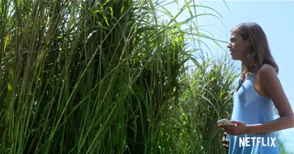 In The Tall Grass Movie Photo 540120