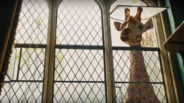 Dolittle Movie Photo 544274