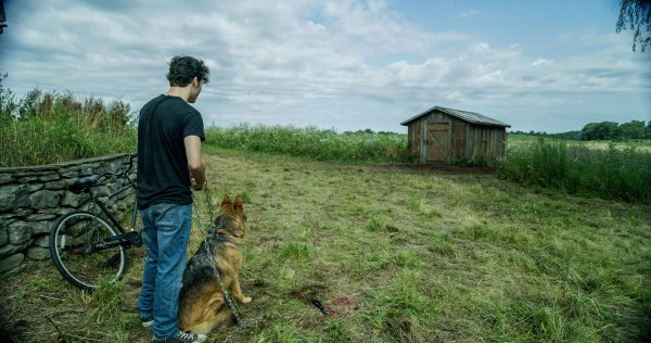 The Shed Movie Photo 544909