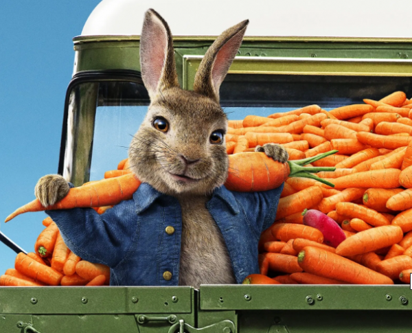 Peter Rabbit 2: The Runaway Movie Photo 545145