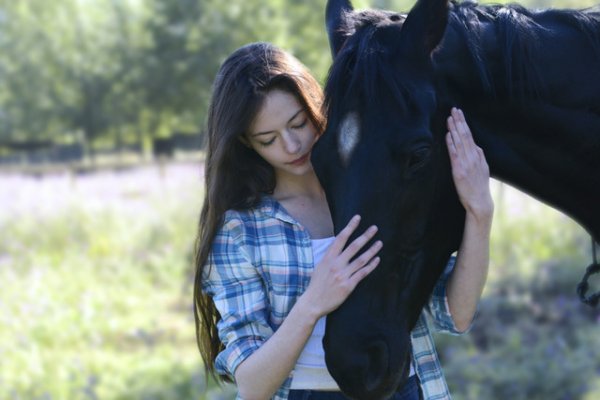 Black Beauty Movie Photo 549090