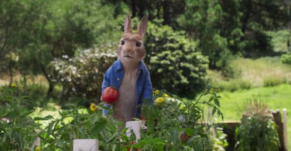 Peter Rabbit 2: The Runaway Movie Photo 554114