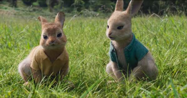 Peter Rabbit 2: The Runaway Movie Photo 554115