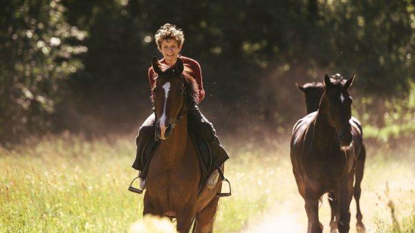 Out Stealing Horses Movie Photo 558203