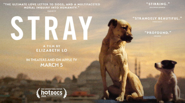 Stray Movie Photo 576794