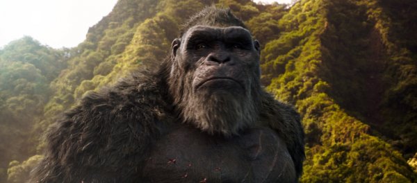 Godzilla vs. Kong Movie Photo 585230