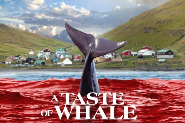 A Taste of Whale Movie Photo 633039