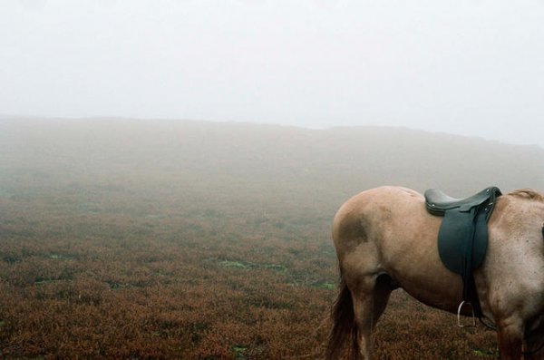 Wuthering Heights Movie Photo 65770