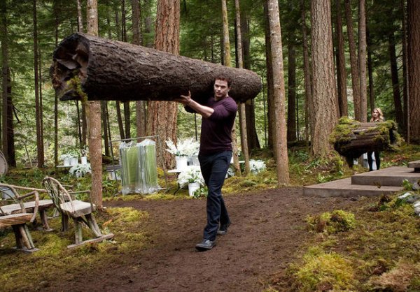 The Twilight Saga: Breaking Dawn Part 1 Movie Photo 68323