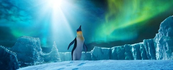 Happy Feet Two Movie Photo 70068