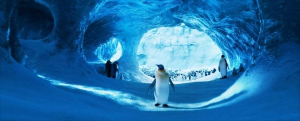 Happy Feet Two Movie Photo 70073