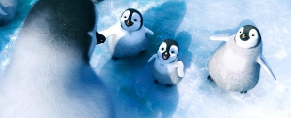 Happy Feet Two Movie Photo 70074