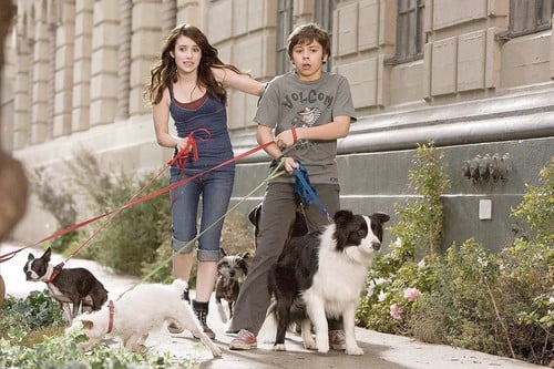 Hotel for Dogs Movie Photo 7043