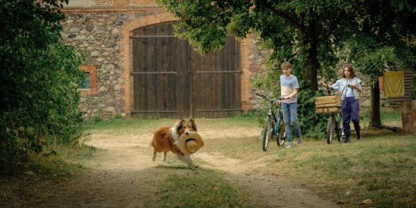 Lassie: A New Adventure Movie Photo 795369