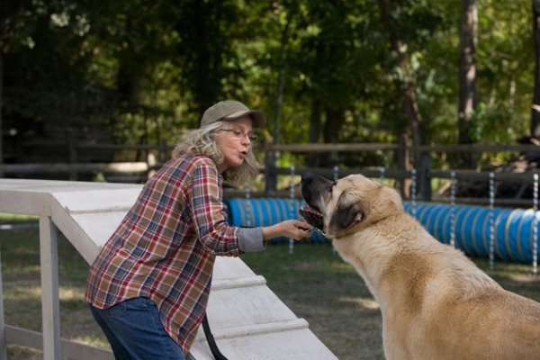 The Lucky One Movie Photo 85482