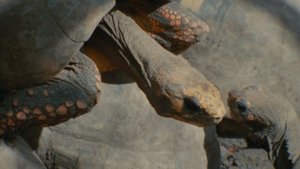 Collective Monologue Movie Photo 894983