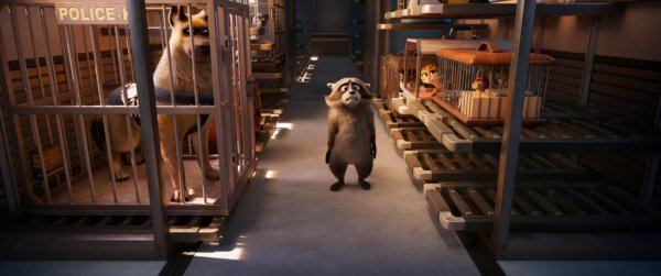 Pets on a Train Movie Photo 898439