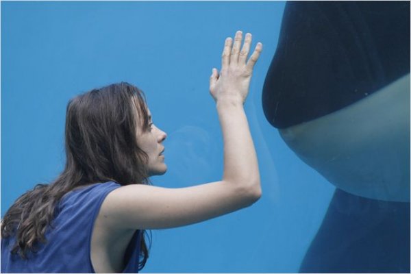 Rust & Bone Movie Photo 97587