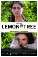 Lemon Tree Poster