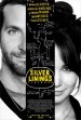 The Silver Linings Playbook poster