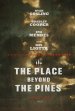 The Place Beyond the Pines Poster