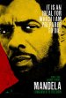 Mandela: Long Walk to Freedom poster