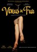 Venus in Fur Poster